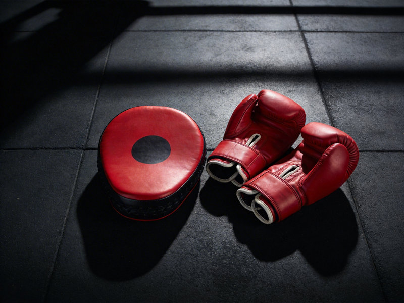 Unleash Your Inner Champion: The Ultimate 2-in-1 Boxing Pads & Mitts Set for All Ages